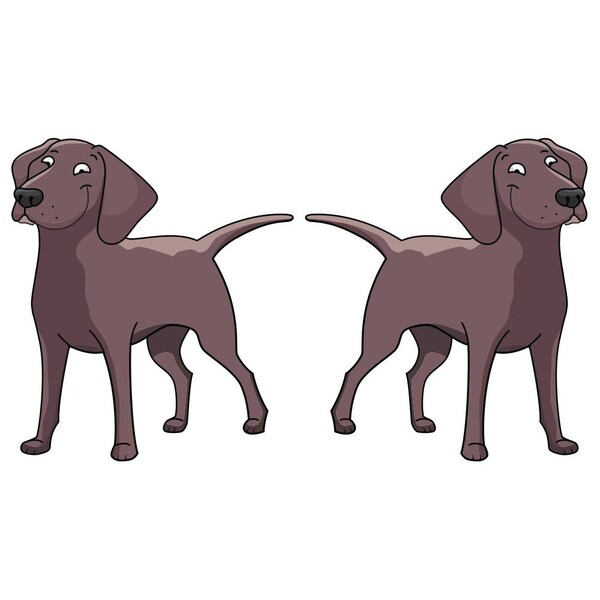 Chesapeake Bay Retriever Dog Decal, Dog Lover Decor Vinyl Sticker
